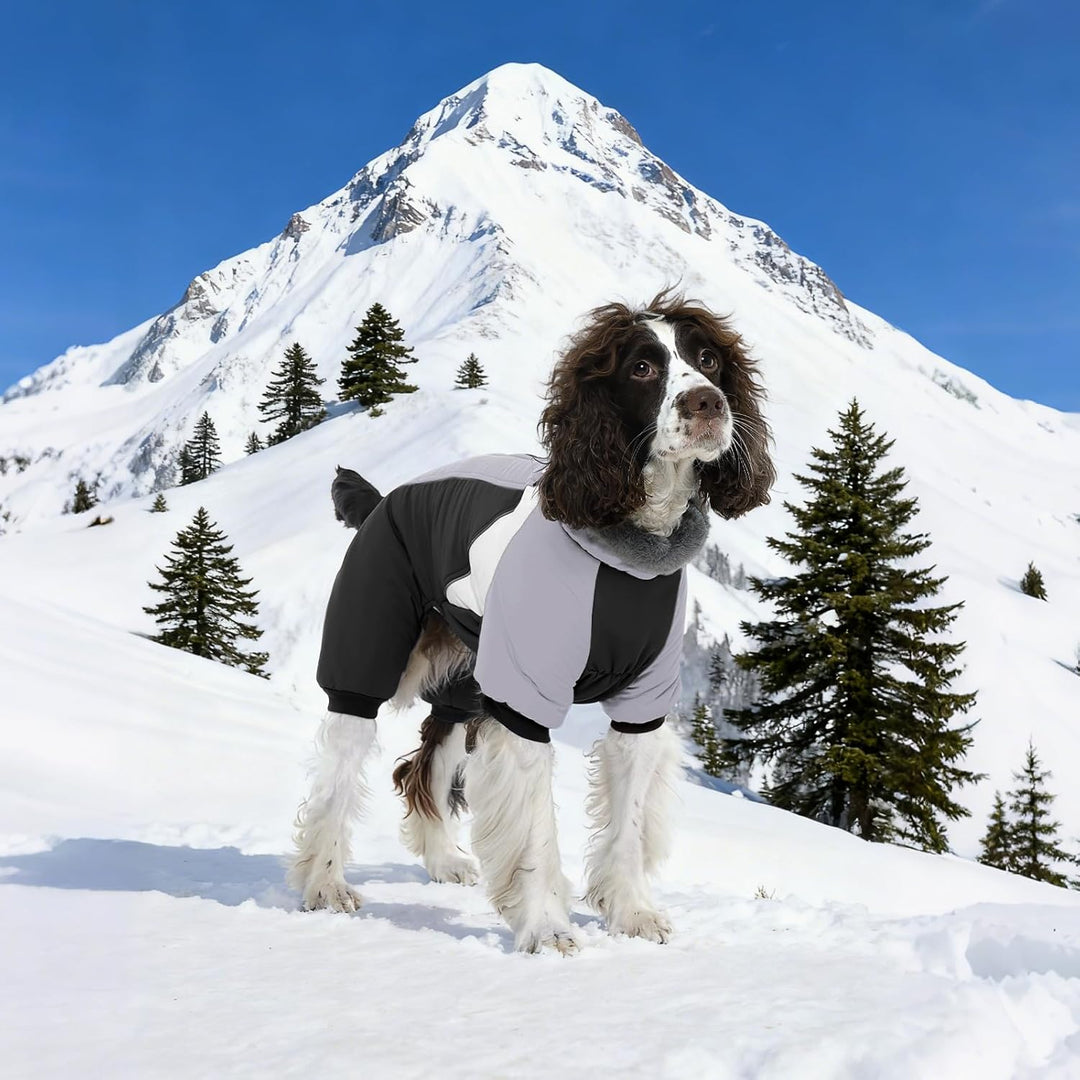 Kuoser Wasserdichter Hundemantel - Wärmer Für Kleine Hunde, Winter Hundemantel Mit Geschirr, Moden H