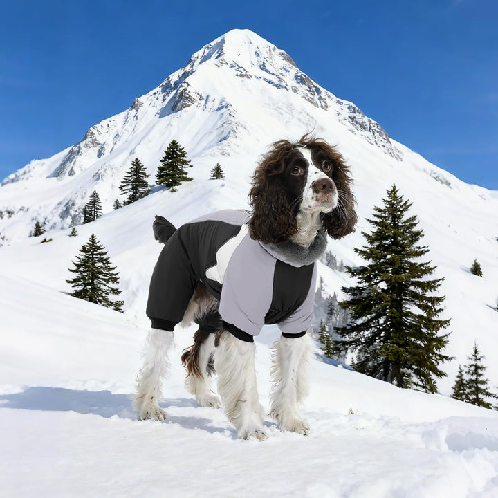 Kuoser Wasserdichter Hundemantel - Wärmer Für Kleine Hunde, Winter Hundemantel Mit Geschirr, Moden H