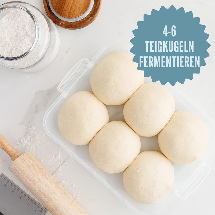 Chef Pomodoro 2 x Pizzaballenbox mit Deckel (35,6 x 27,9 cm), Teigbox Pizza, Pizzaboxen Teig, Pizzat