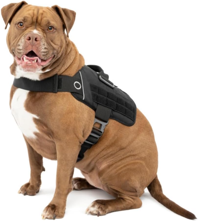 Kurgo RSG Townie Hundegeschirr, Einfaches Anlegen und Abnehmen, Einstellbare Brust- und Bauchgurte,