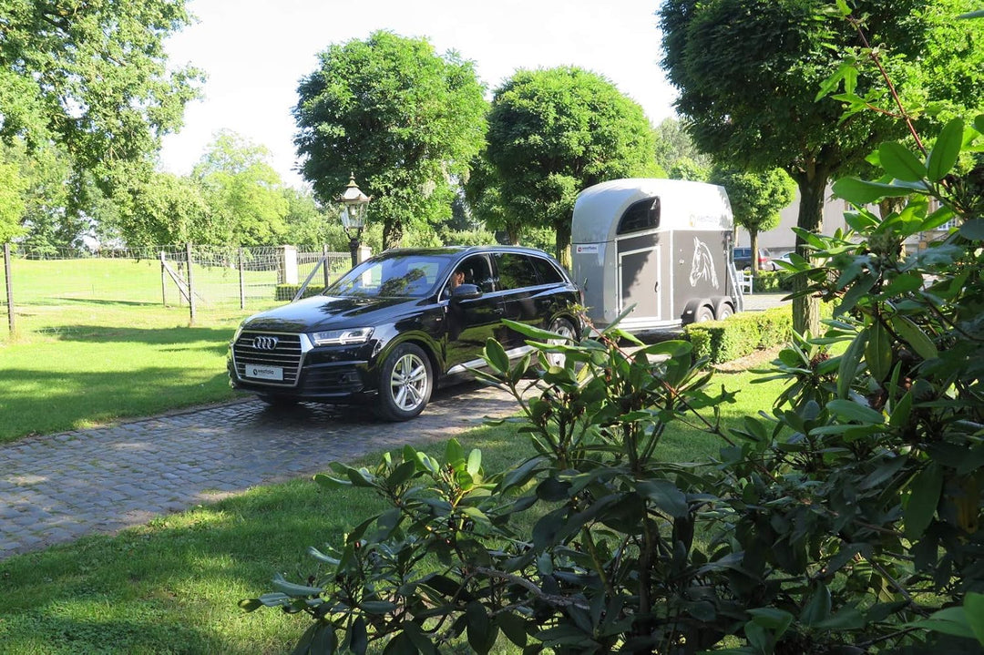 Westfalia Starre Anhängerkupplung für VW Golf 7/8 Limousine (ab BJ 10/12), VW T-Roc (ab BJ 07/17), A