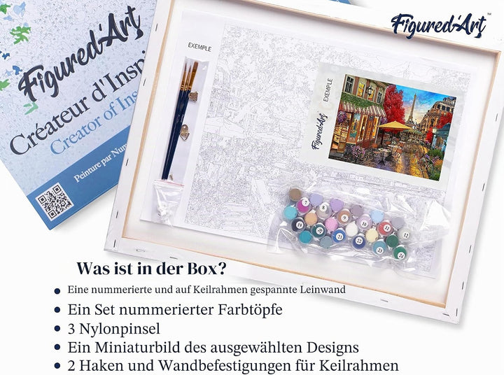 Figured'Art Malen Nach Zahlen Erwachsene Mit Rahmen Veranda in Paris - Paint by Numbers Basteln DIY