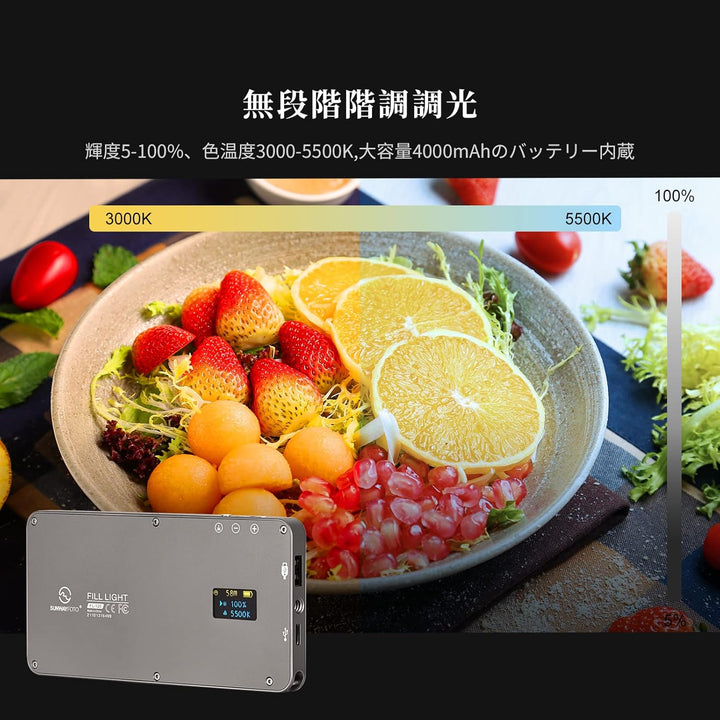 Sunwayfoto FL-120 Fill Light