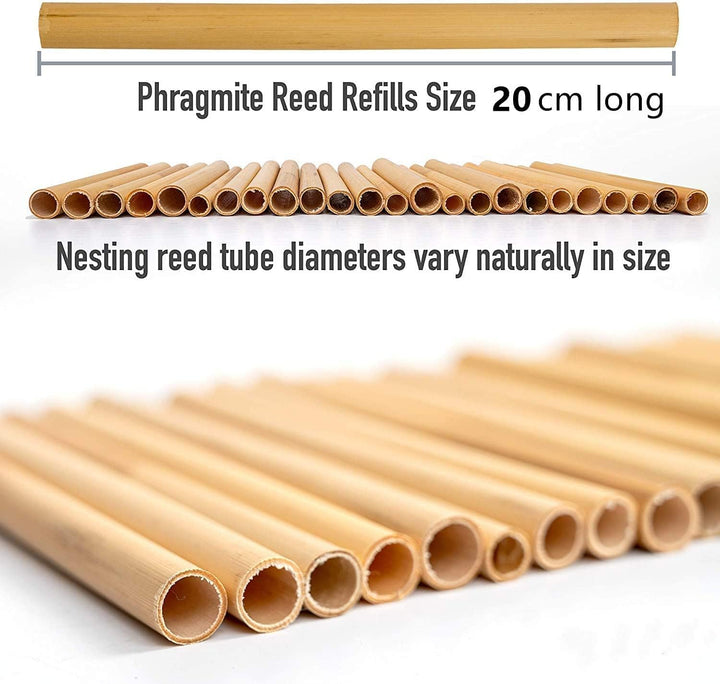 Super Idee 200 Weizenhalme + 50 Schilfröhrchen + 20 Bambusröhrchen Fertigröhrchen 20cm Niströhren Fü