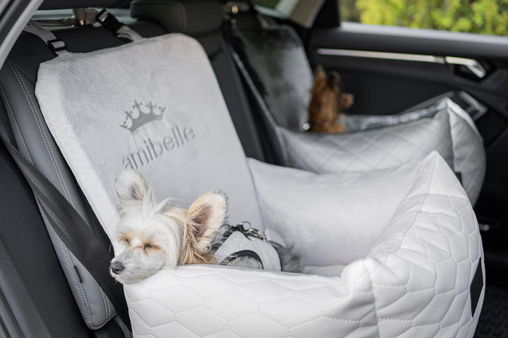 Luxuriös Hunde Auto Sitz | Autositz für Hunde, Rückbank, Vordersitz | Universal Waschbar Hundeautosi