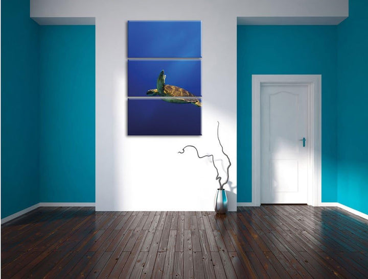 Pixxprint Schildkröte im Meer als Leinwandbild/Grösse: 3 Teilig (120x80) cm/Wandbild/Kunstdruck/fert