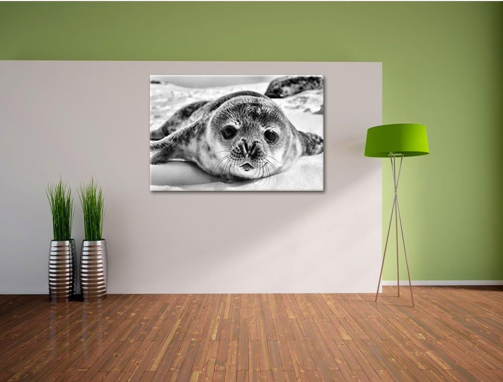 Pixxprint Süsses Robben Baby / 100x70cm Leinwandbild bespannt auf Holzrahmen/Wandbild Kunstdruck Dek