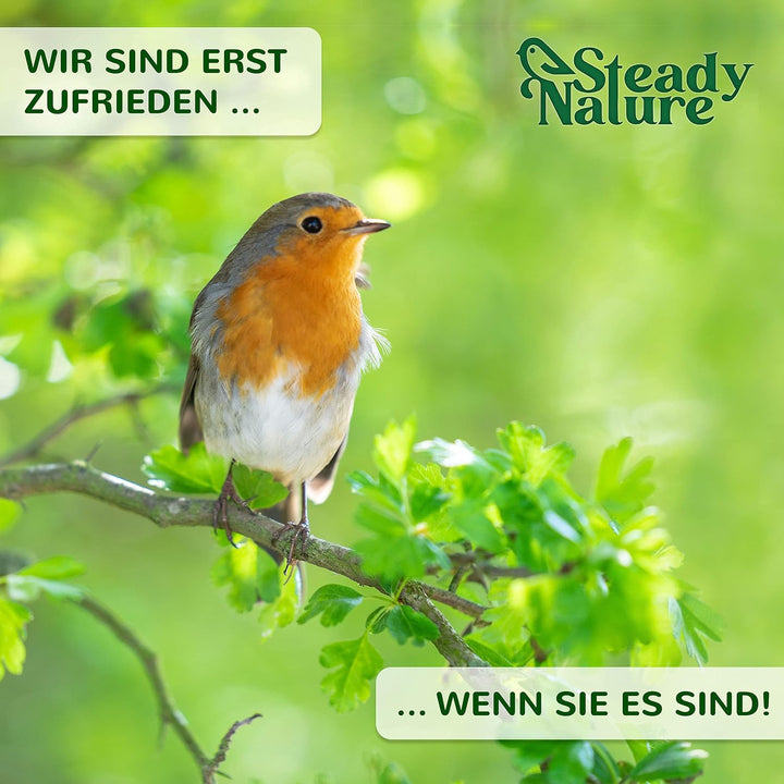 Steady Nature Nistkasten Rotkehlchen - Nistkästen für Vögel für draussen wetterfest - Halbhöhle Voge