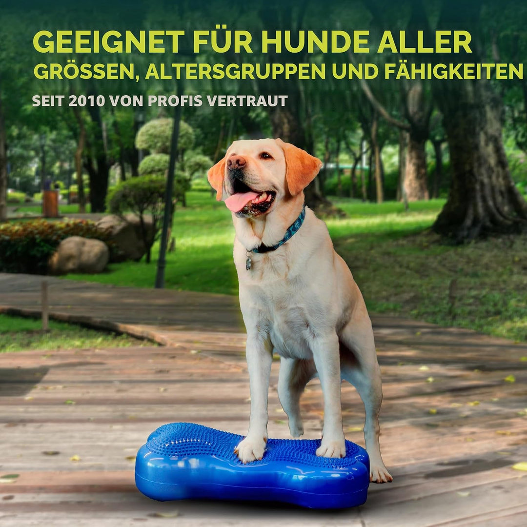 Ball Dynamics FPK9BONE BL K9FITbone, Balance - Trainingsgerät, 58 x 29 x 10m, himmelblau