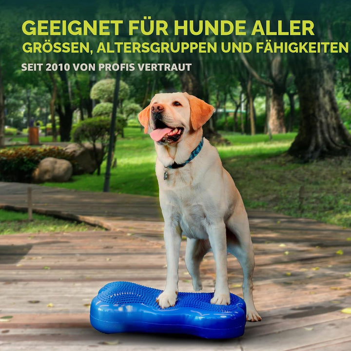 Ball Dynamics FPK9BONE BL K9FITbone, Balance - Trainingsgerät, 58 x 29 x 10m, himmelblau