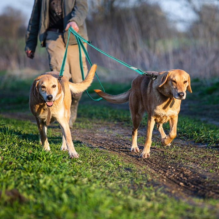 Wisedog 3m Seegrün doppelendige gummierte Hundeleine Leichtgewichtige Hands Free Leine für Hund ruts