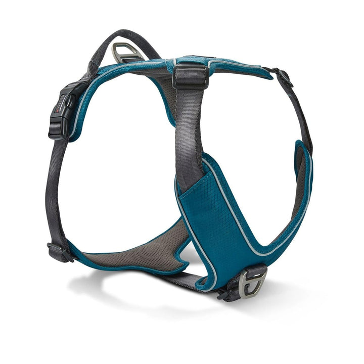 Wolters Geschirr Active Pro Comfort, Grösse:70-85 cm, Farbe:Petrol/anthrazit 70 - 85 cm petrol/anthr