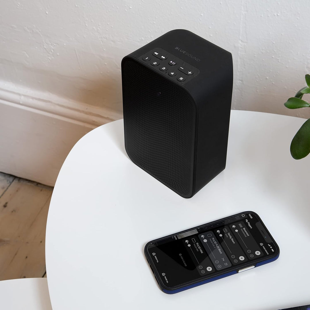 Bluesound Pulse Flex 2i tragbarer kabelloser Streaming-Lautsprecher - Schwarz Black, Black