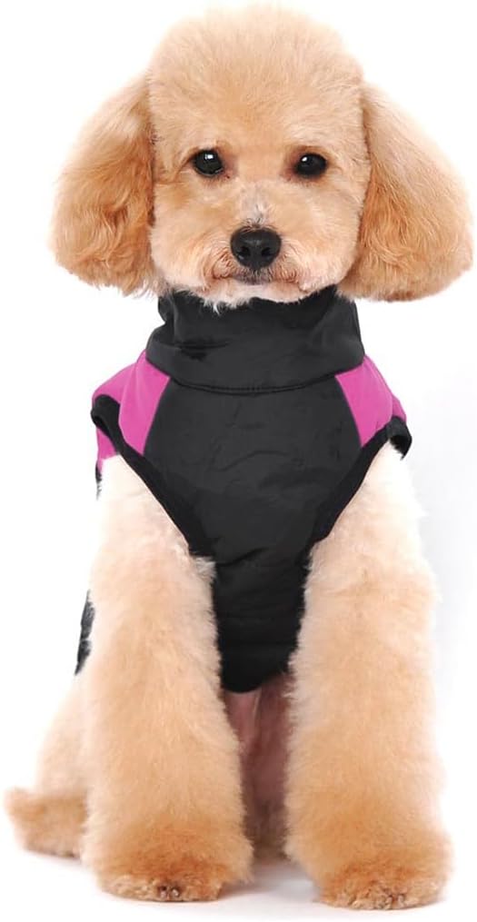 Winter Warm Pet Hund Kleidung klein wasserdichte Hundemantel Jacke Winter Gesteppt Gepolstert Puffer