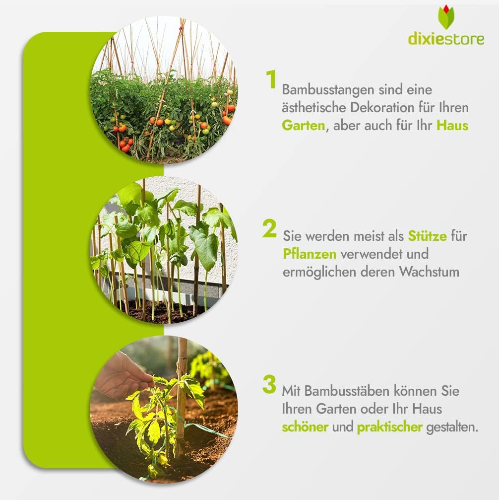 Dixiestore Bambusstäbe - Bambusstangen Set Blumenstützen - Robuste Pflanzenstäben aus Bambus 180 cm