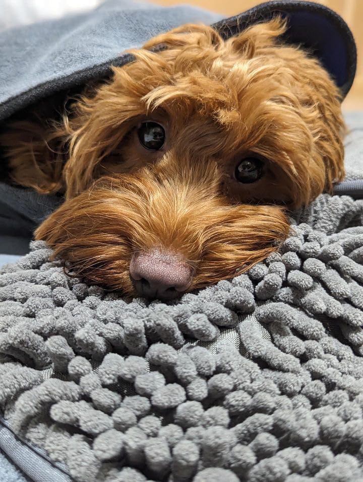 pet wiz Mikrofaser-Handtuch für Nudeln/Chenille, super saugfähig, schnell trocknend, leicht, mit pra