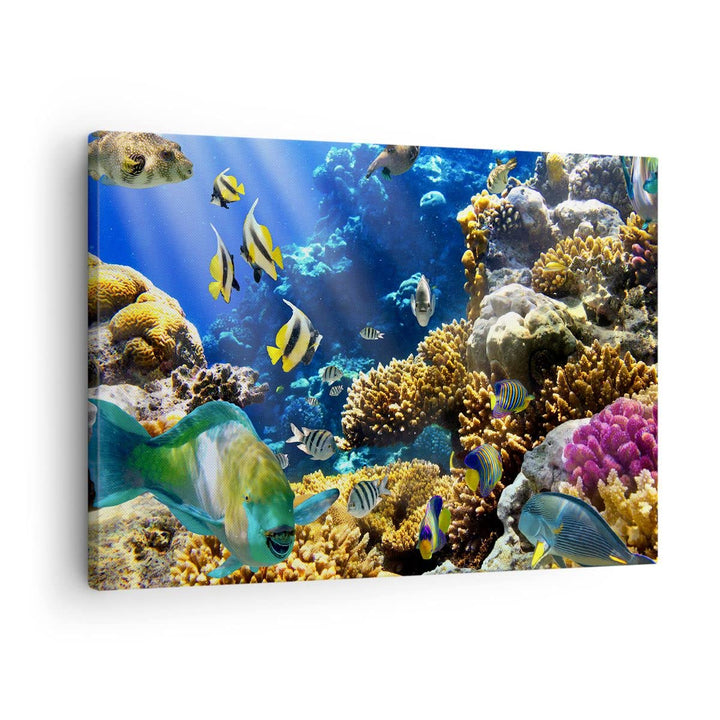 Bilder auf Leinwand Korallenriff Ozean Krabbe Fisch Leinwandbild 70x50cm Wandbilder Dekoration Wohnz
