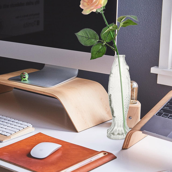 Homoyoyo 2Pcs Klare Fischförmige Fischblume Flasche Fisch Fischglasfischflasche Vase: Glasblume