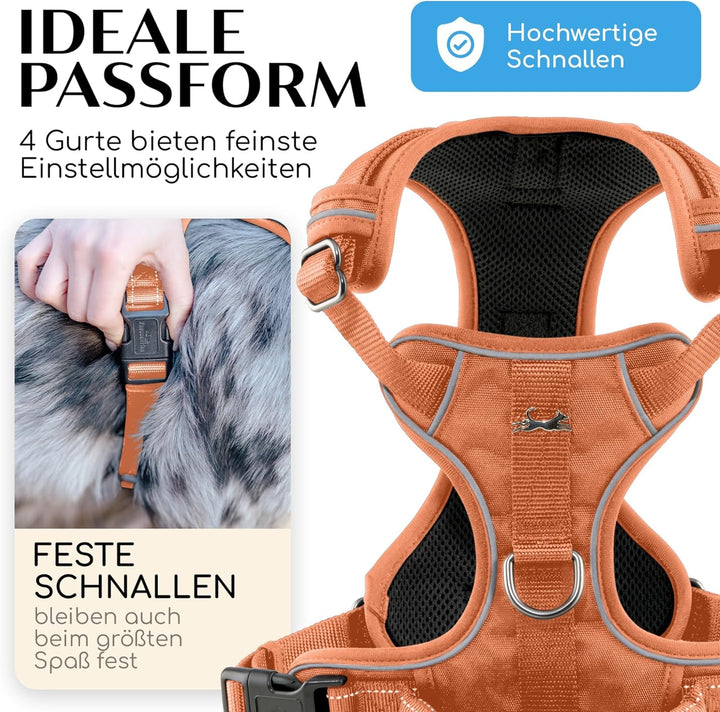 FREUDENTIER Hundegeschirr mit Mesh-Polsterung - Höchster Komfort, bombenfester Sitz &amp; maximale Siche