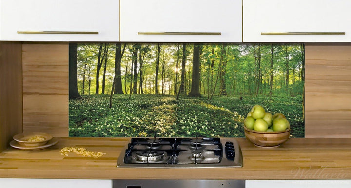 Wallario Küchen-Rückwand | Küchenspiegel Waldanemonen und Sonnenstrahlen im Wald in Premium-Qualität