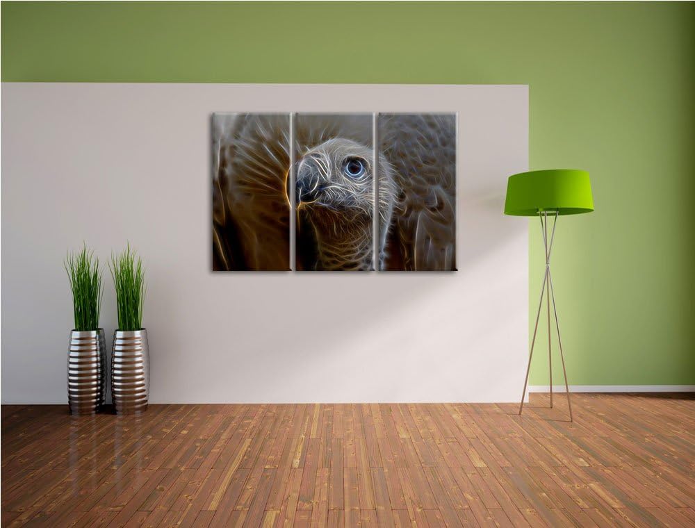 aussergewöhnlicher Geier NewArt 3-Teiler Leinwandbild 120x80 Bild auf Leinwand, XXL riesige Bilder f