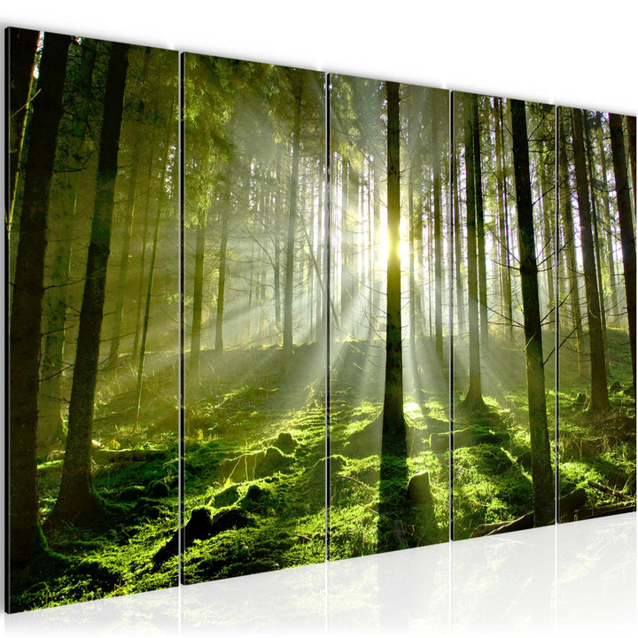 Runa Art Bild Wald Landschaft Wandbilder auf Vlies Leinwand 5 Teilig Wanddekoration Schlafzimmer Woh