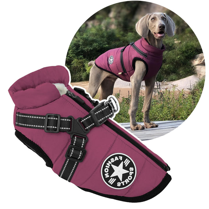 2-in-1 Hunde-Winter-Geschirr, für den Aussenbereich, warme grosse Hundejacke, kaltes Wetter, gepolst