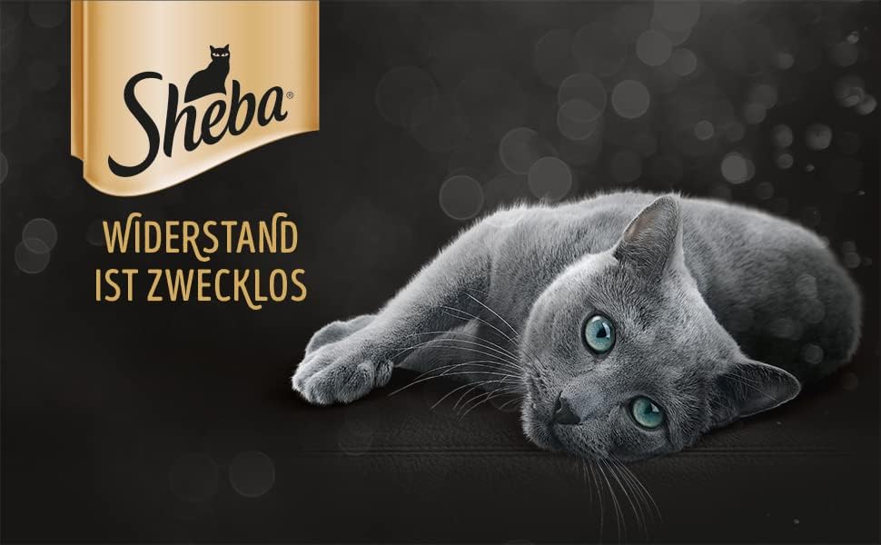 Sheba Fresh Cuisine Taste of Tokyo - Hochwertiges Katzen Nassfutter - Thunfisch und Lachs (MSC) - Im