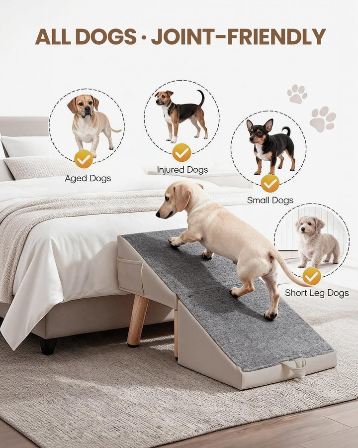 Hunderampe für Sofa &amp; Bett, 2-in-1 Hundetreppe für kleine &amp; mittelgrosse Hunde Katzen, 40 cm Indoor-