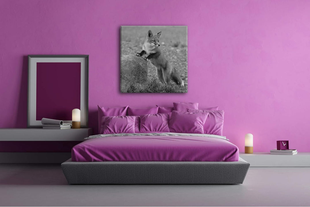 deyoli Verspielter süsser Fuchs Format: 70x70 Effekt: Schwarz&Weiss als Leinwandbild, Motiv auf Echt
