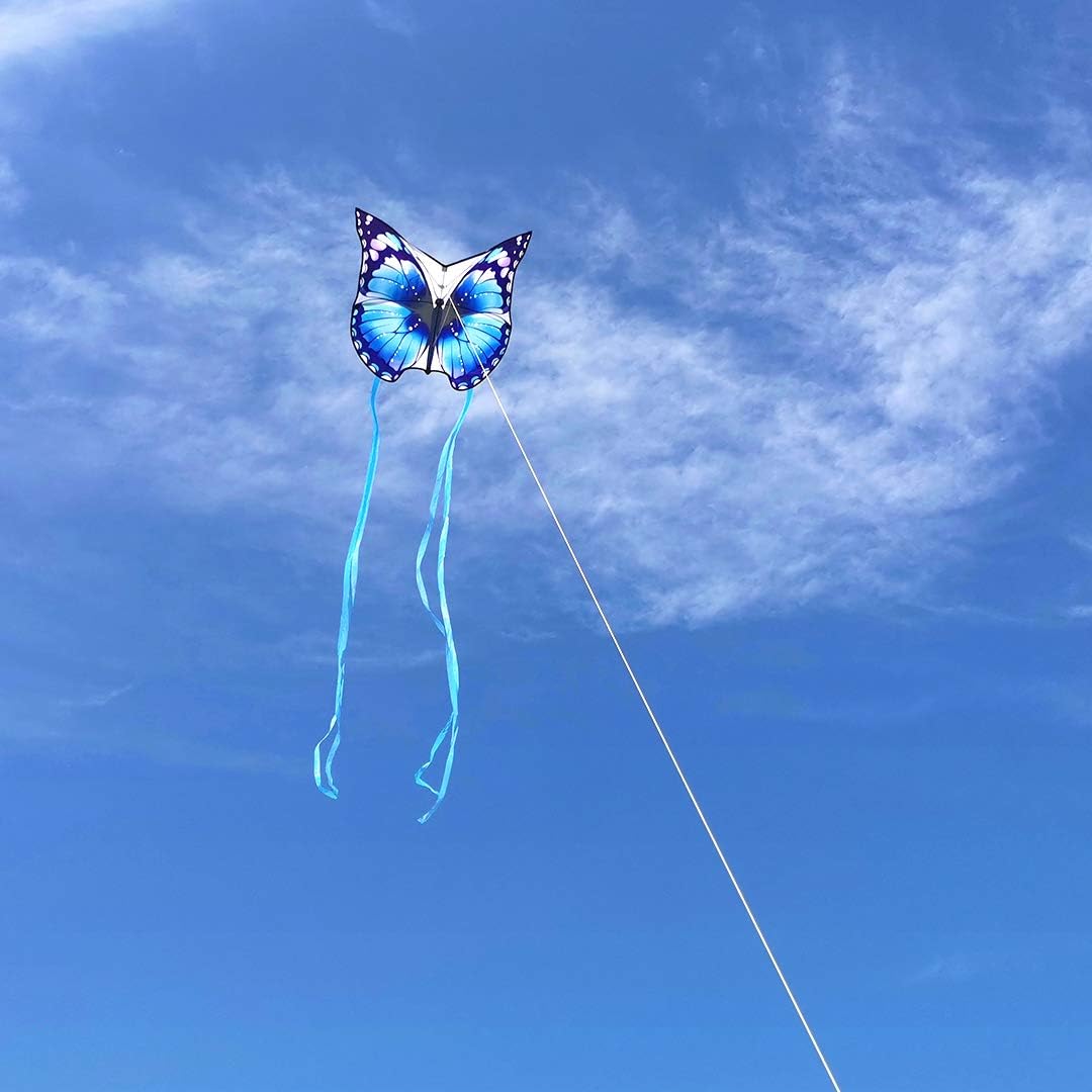 Mint's Colorful Life Schmetterling Drachen flugdrachen für Kinder und Erwachsene. Blau, Blau