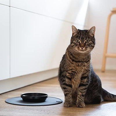 LucyBalu® Napfunterlage für Katzen | Katzenmatte für Wasser- & Futternapf | Silikonmatte als rutschf