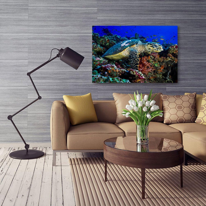 Feeby Bilder Schildkröte Natur 70x50 cm Wohnzimmer Schlafzimmer Büro Flur Küche Wandbilder Modern Bi