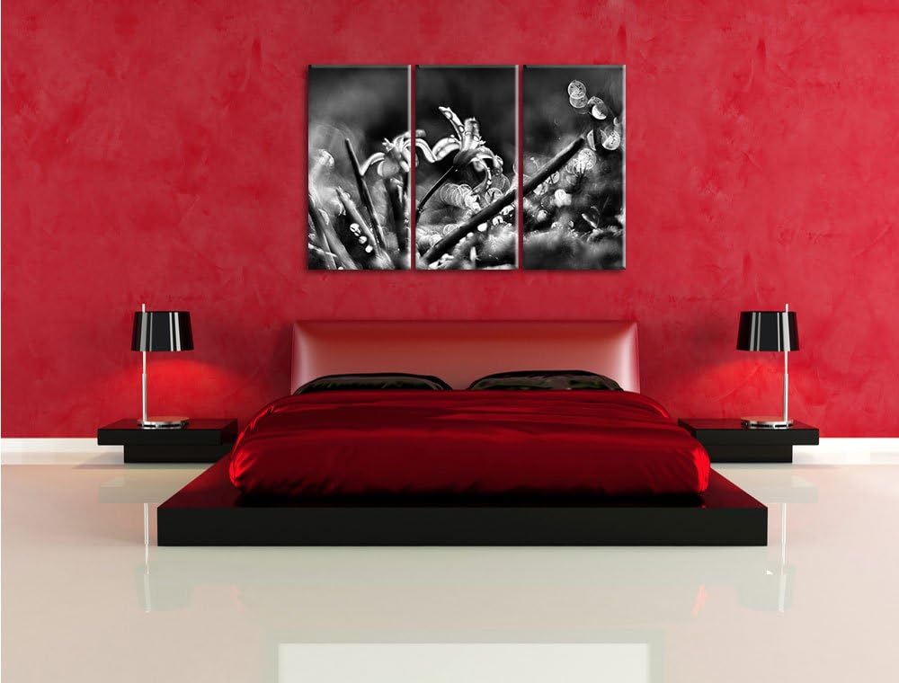 Pixxprint Wiesenblumen Morgentau / 3-Teilig/Gesamtmass 120cm Leinwandbild bespannt auf Holzrahmen/Wa