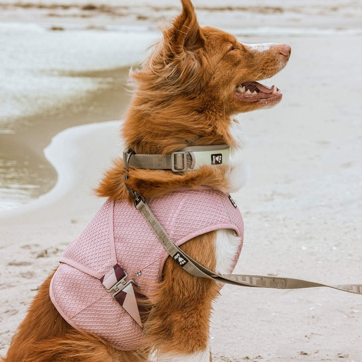 Hurtta Cooling Wrap Kühlweste für Hunde, Kühlweste Sommer Hundejacke, Rosa, 45-55cm Carnation Pink 4