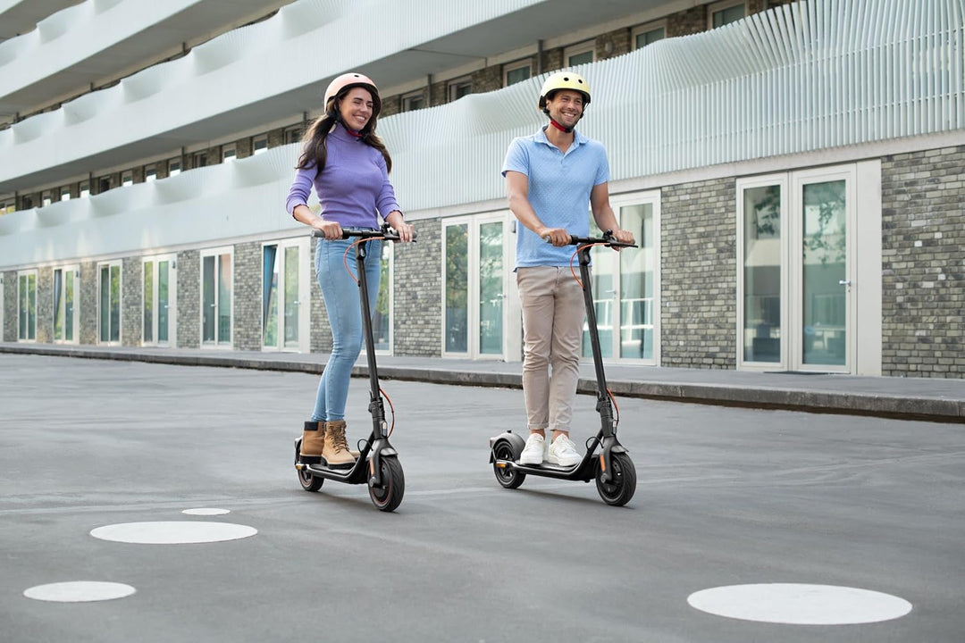Segway-Ninebot F20D/ F40D/ F40D II, E Scooter mit Strassenzulassung für Erwachsene, max. 20 km/h Ges