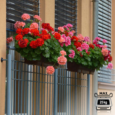 com-four® 4X Blumenkastenhalter für Balkon-Brüstungen und Geländer - Flexible Befestigung aus Metall