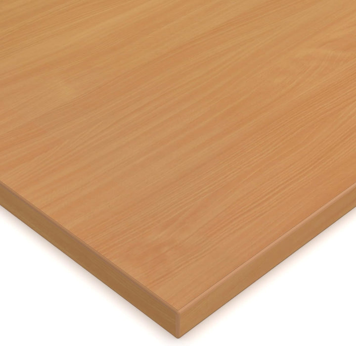 Geschirrspülerfront 19mm voll-, teilintegriert und nach Mass (Buche, 594x715mm) Buche 594x715mm, Buc