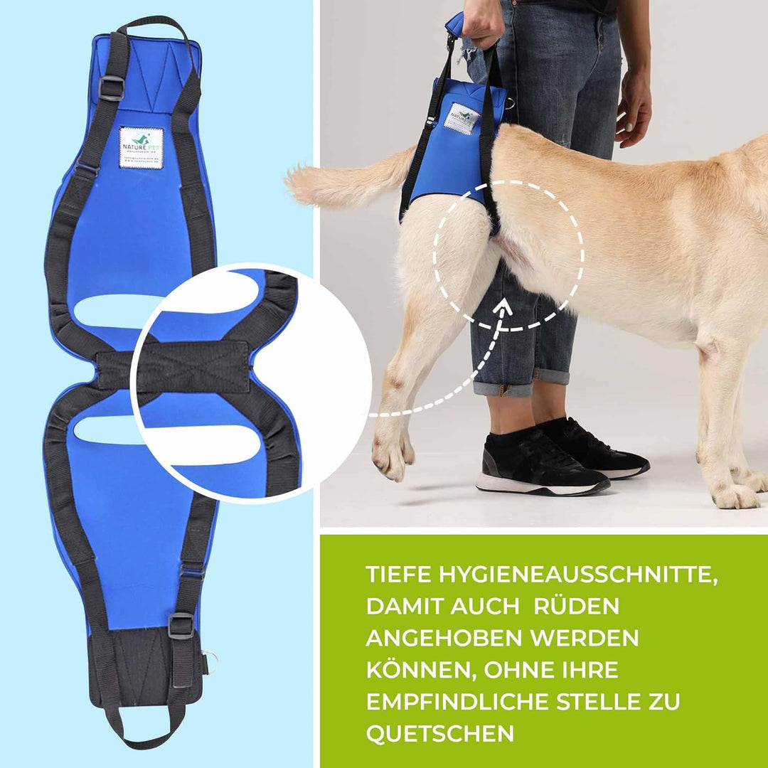 Tragehilfe Hund hinten - Ideal für ältere, kranke oder operierte Hunde - Diese Treppenhilfe für Hund