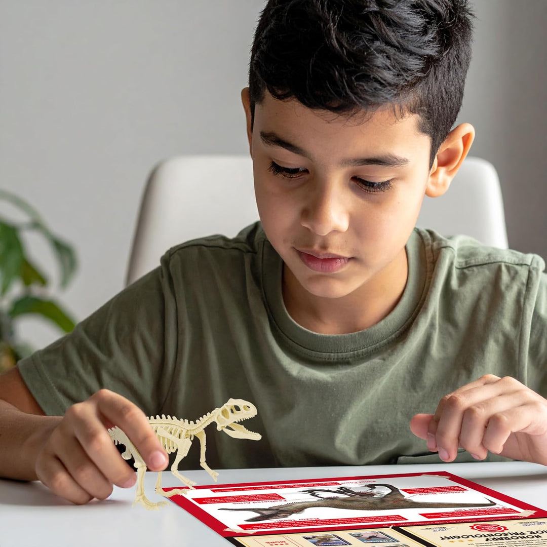 Velociraptor Dino Ausgrabungsset für Kinder - Velociraptor Skelett aus und baue es zusammen, Werde P