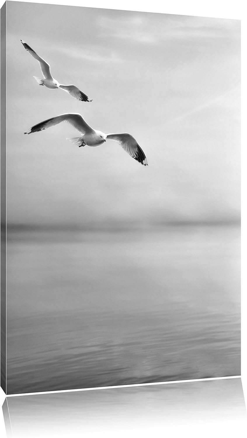 Pixxprint Möwen am Meer bei Sonnenaufgang als Leinwandbild/Grösse: 100x70 / Wandbild/Kunstdruck/fert