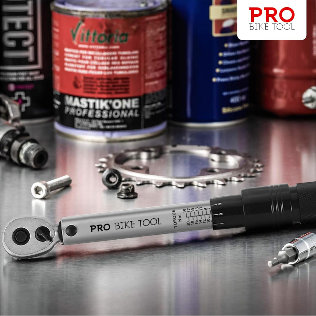 PRO BIKE TOOL Drehmomentschlüssel Fahrrad &amp; Motorrad 1/4 Zoll Antrieb mit Umschaltknarre und Verläng
