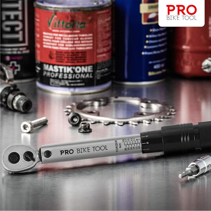 PRO BIKE TOOL Drehmomentschlüssel Fahrrad &amp; Motorrad 1/4 Zoll Antrieb mit Umschaltknarre und Verläng