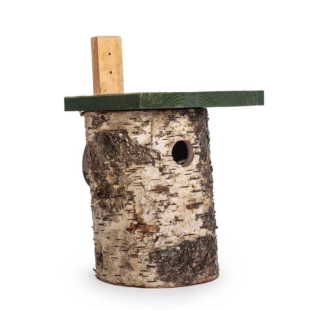 CJ Wildlife Nistkasten – Vogelnistkasten für draussen – Birke FSC® 100% – 32 mm Einflug – für Kohlme
