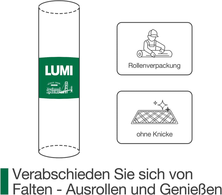 LUMI Schmutzfangmatte 80x120cm, Fussmatte Innen, rutschfest Dunkelgrau | Fängt Schmutz und Feuchtigk