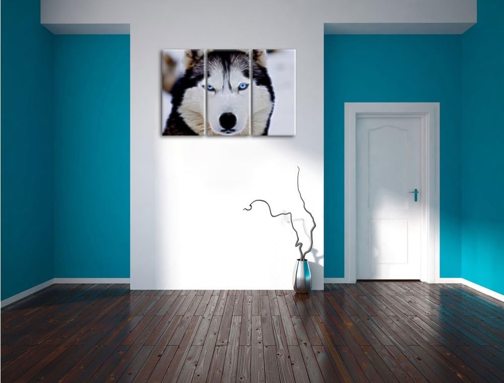 Pixxprint Husky Neon Lights Effekt 3-Teiler Leinwandbild 120x80 Bild auf Leinwand