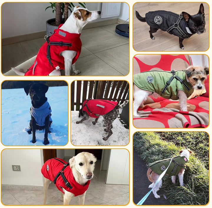 Hundemantel, Winter Hundejacke Wasserdicht Winddichte mit bauchschutz, Outdoor Hunde Wintermantel Hu
