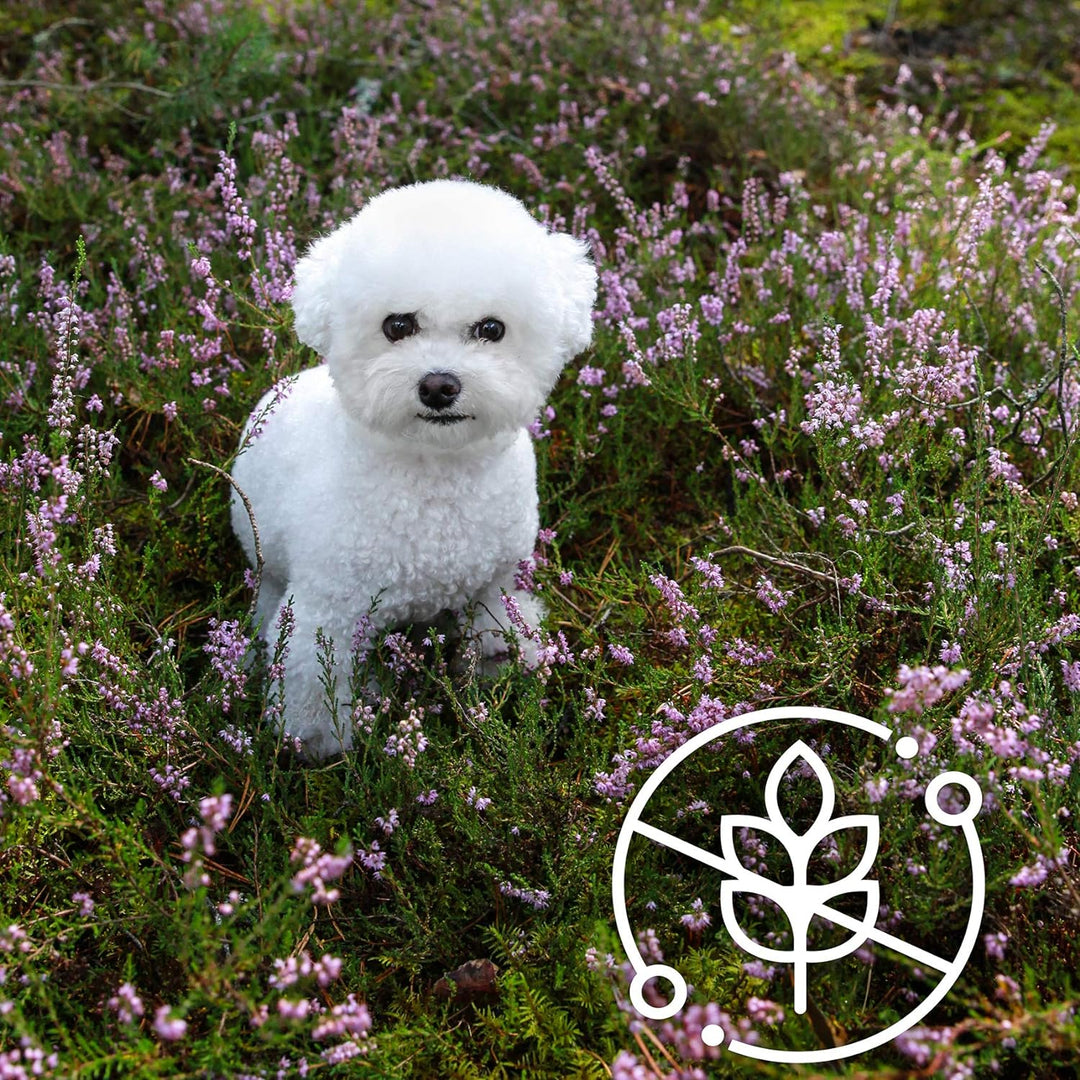 Nature's Protection Superior Care White Dog Small Breed Adult Feed, 1er Pack (1 x 10 kg)