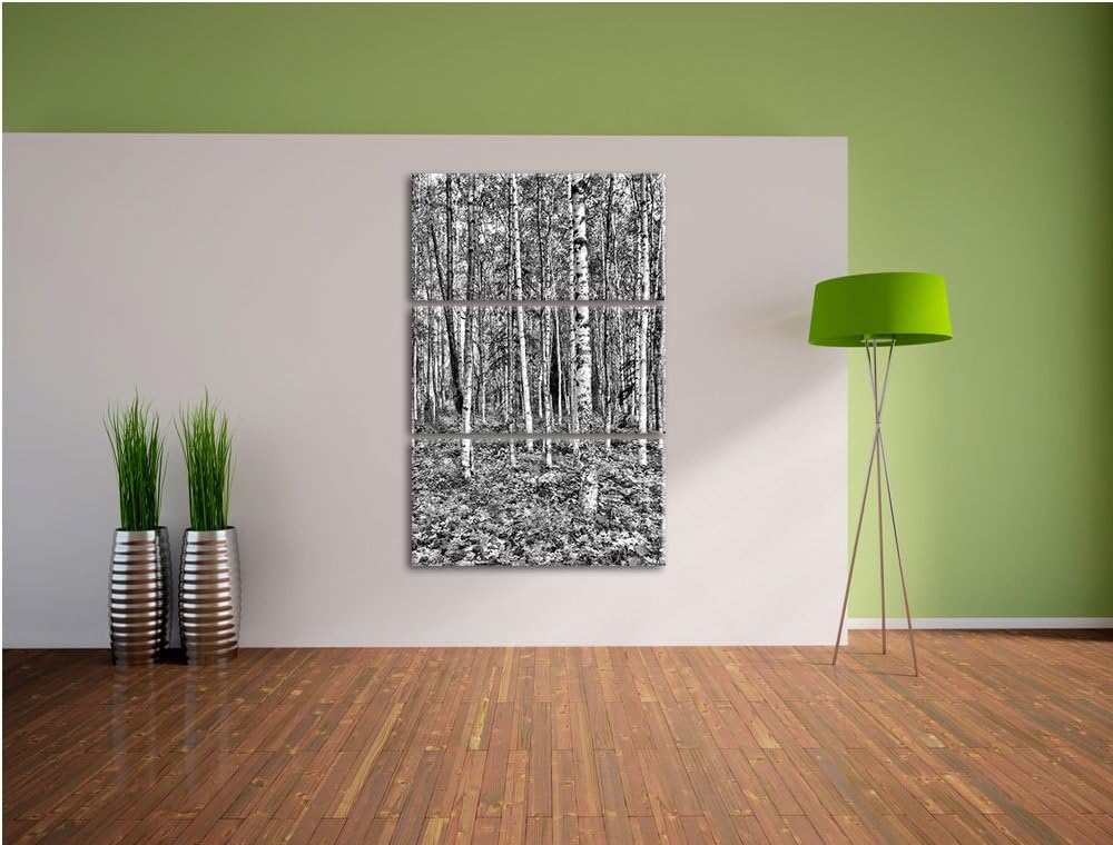 Pixxprint Birkenwald als Leinwandbild/Grösse: 3 Teilig (120x80) / Wandbild/Kunstdruck/fertig bespann