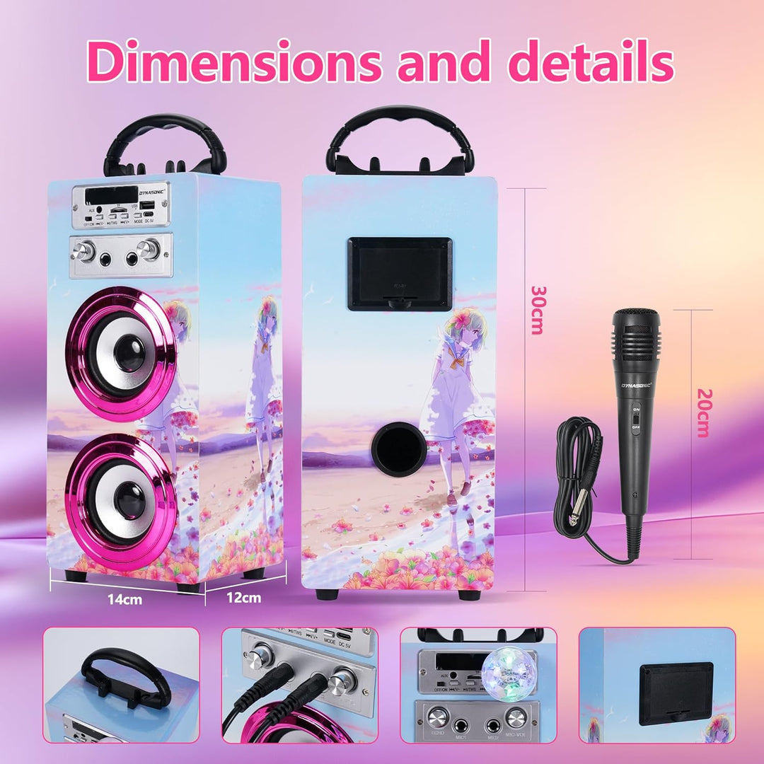 DYNASONIC Karaoke mit 2 Mikrofonen, tragbarer Karaoke-Maschine, Bluetooth-Lautsprecher, USB- und SD-